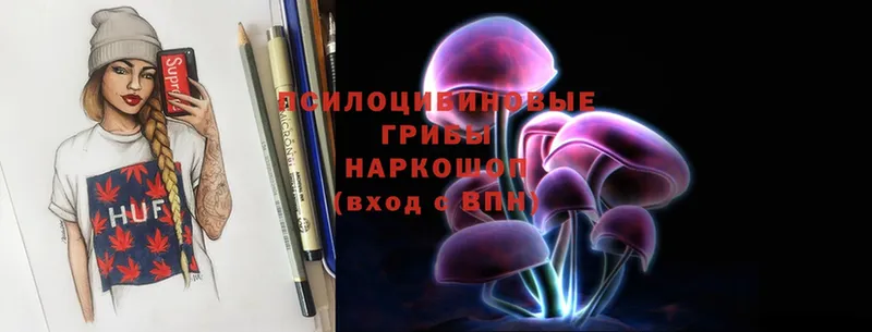 сколько стоит  Киселёвск  Псилоцибиновые грибы Magic Shrooms 